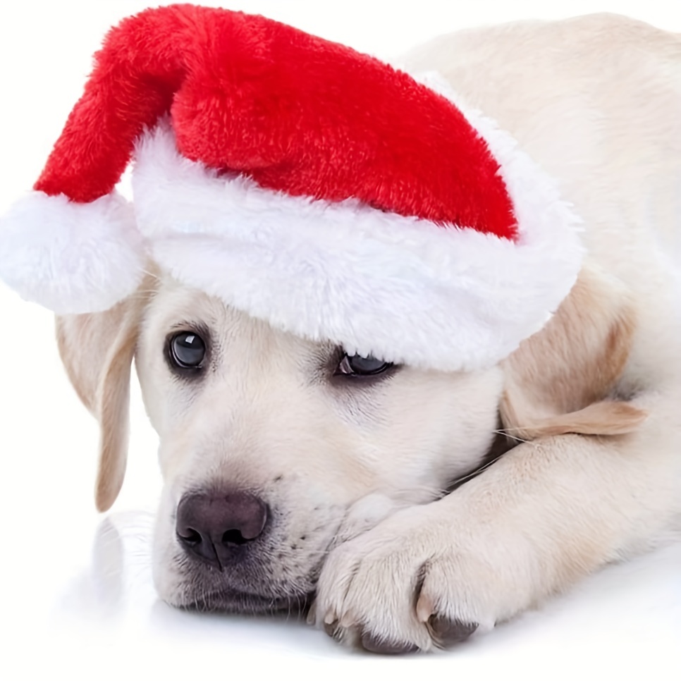 Santa Hat Plush - 1-10PCS Luxury Soft Plush Christmas Pet