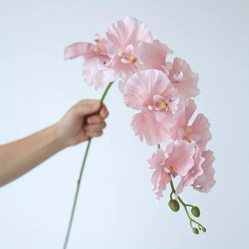 Long Branch Butterfly Orchids  - Christmas Wreath Fake 评论和价格