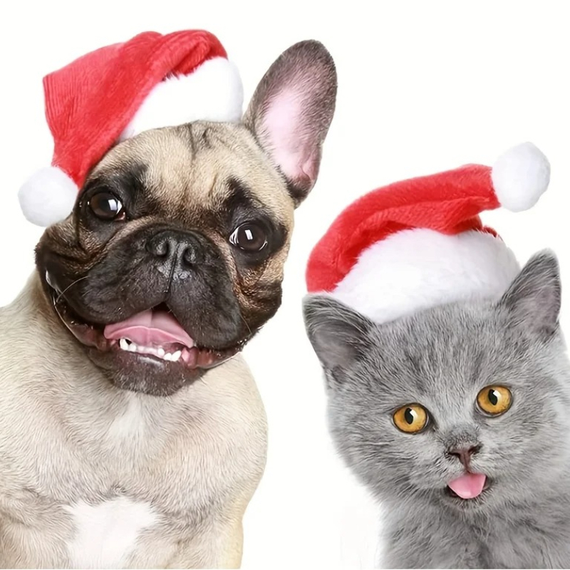 1-10PCS Luxury Soft Plush Chri - Santa Hat Plush 评论和价格