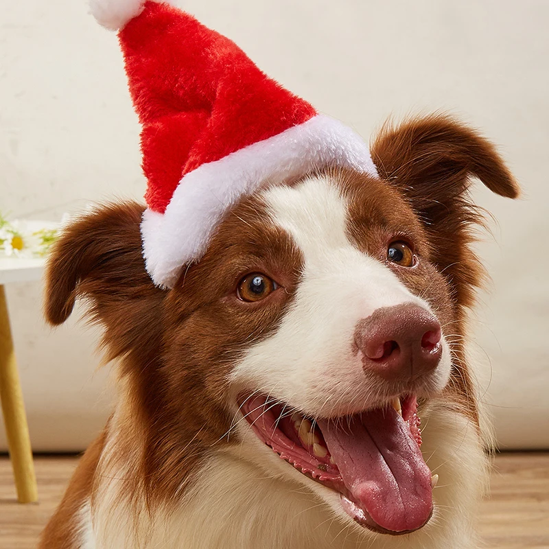 1-10PCS Luxury Soft Plush Chri - Santa Hat Plush 评论和价格